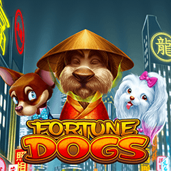 WINDEE888 HB slot Fortune Dogs