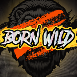 WINDEE888 HS slot Born Wild