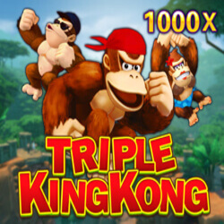 WINDEE888 JDB slot Triple King Kong