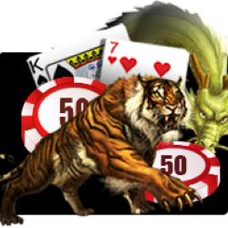 WINDEE888 JK slot Dragon Tiger