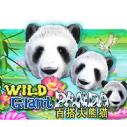 WINDEE888 JK slot Wild Giant Panda