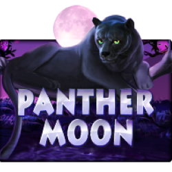 WINDEE888 JK slot Panther Moon