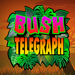WINDEE888 MG slot Bush Telegraph