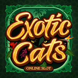 WINDEE888 MG slot Exotic Cats