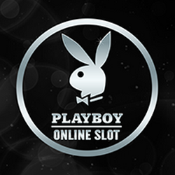 WINDEE888 MG slot Playboy
