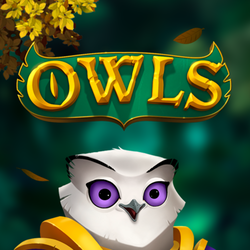 WINDEE888 NLM slot Owls