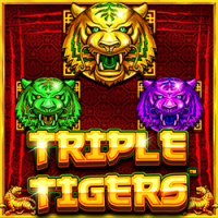 WINDEE888 PP slot Triple Tigers