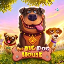 WINDEE888 PP slot The Big Dog House