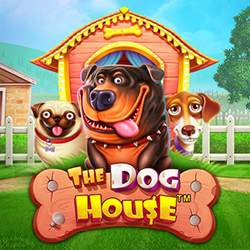 WINDEE888 PP slot The Dog House