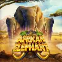 WINDEE888 PP slot African Elephant
