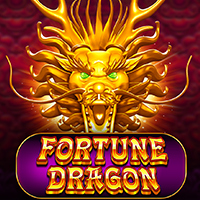 WINDEE888 PP slot Fortune Dragon