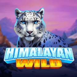 WINDEE888 PP slot Himalayan Wild