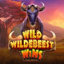 WINDEE888 PP slot Wild Wildebeest Wins