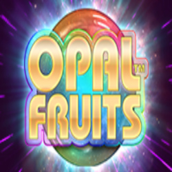 WINDEE888 RELAX slot Opal Fruits