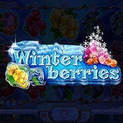 WINDEE888 YGG slot Winterberries